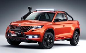 Skoda Mountiaq Concept 2019 года